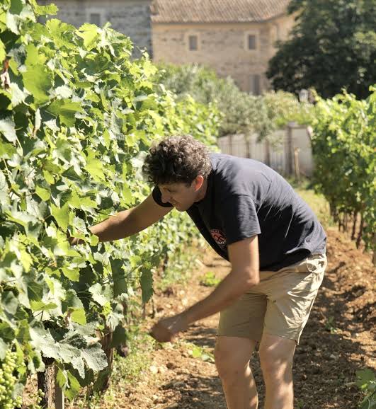 Domaine de Berguerolles