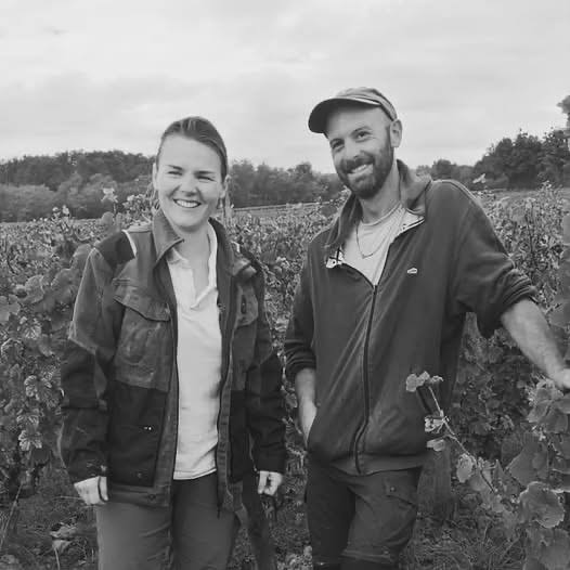 Les Vignes de Paulette